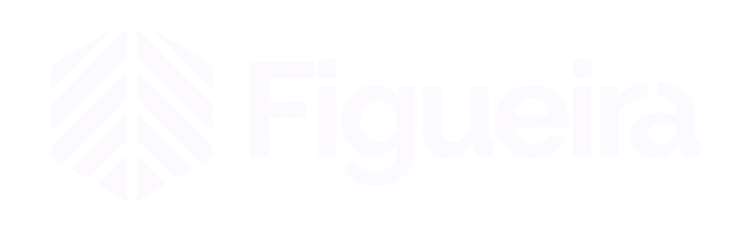 Figueira Serviços